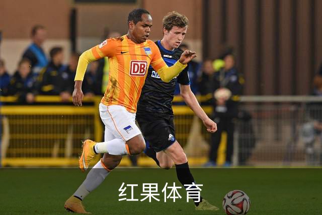红果体育公司介绍